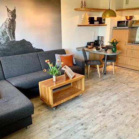 Luchsbutze Apartment Sankt Andreasberg Bagian luar foto