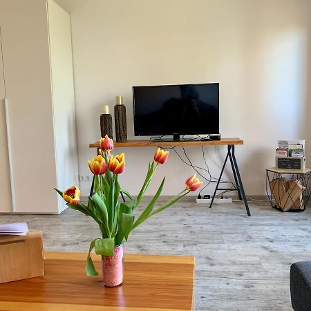Luchsbutze Apartment Sankt Andreasberg Bagian luar foto