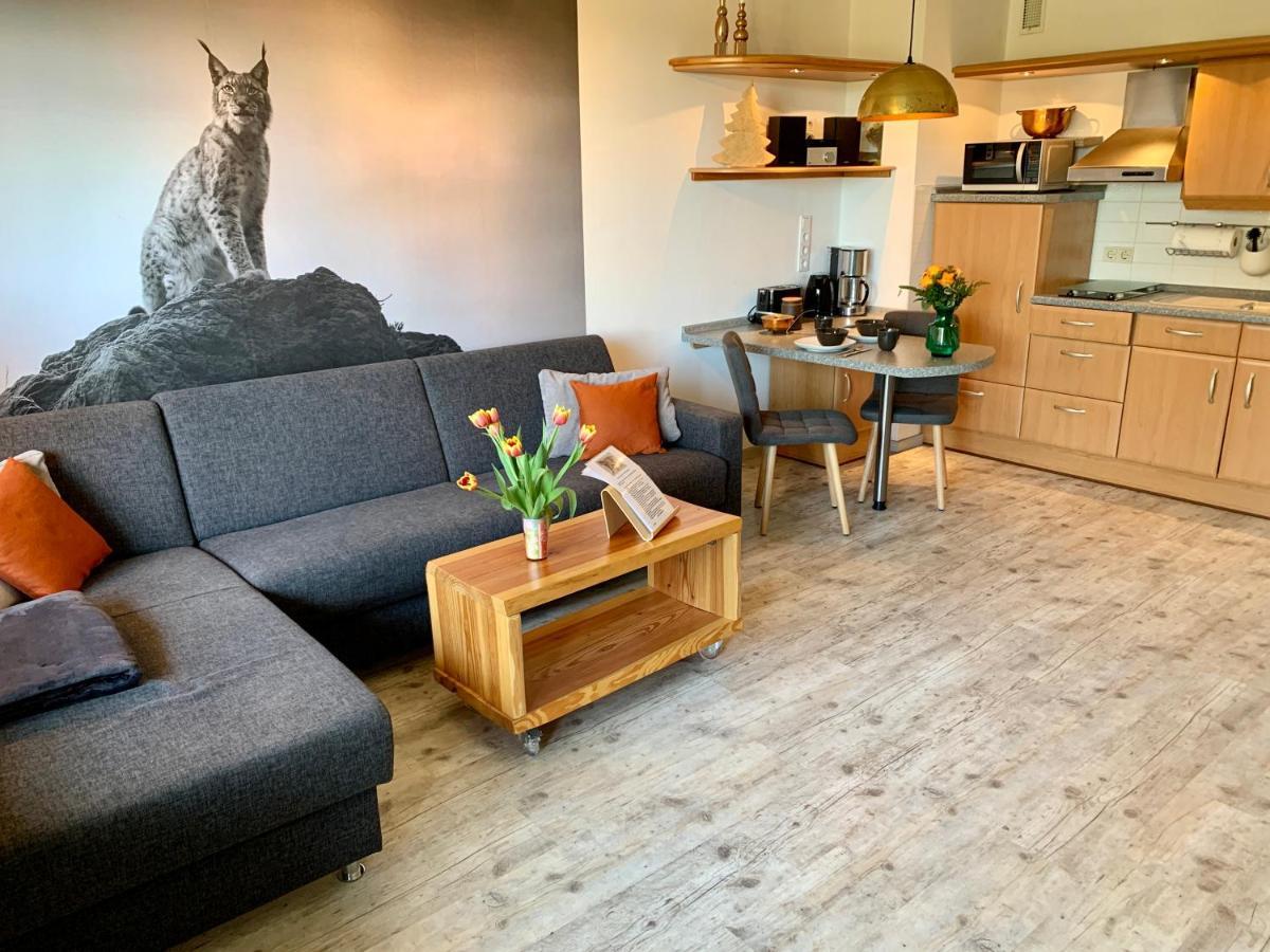 Luchsbutze Apartment Sankt Andreasberg Bagian luar foto