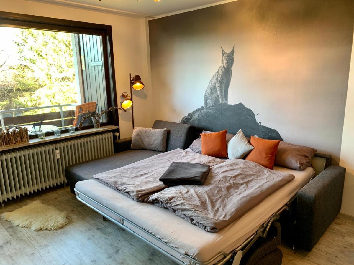 Luchsbutze Apartment Sankt Andreasberg Bagian luar foto