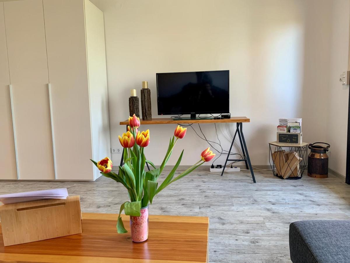 Luchsbutze Apartment Sankt Andreasberg Bagian luar foto