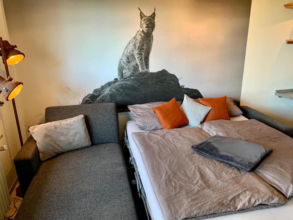 Luchsbutze Apartment Sankt Andreasberg Bagian luar foto