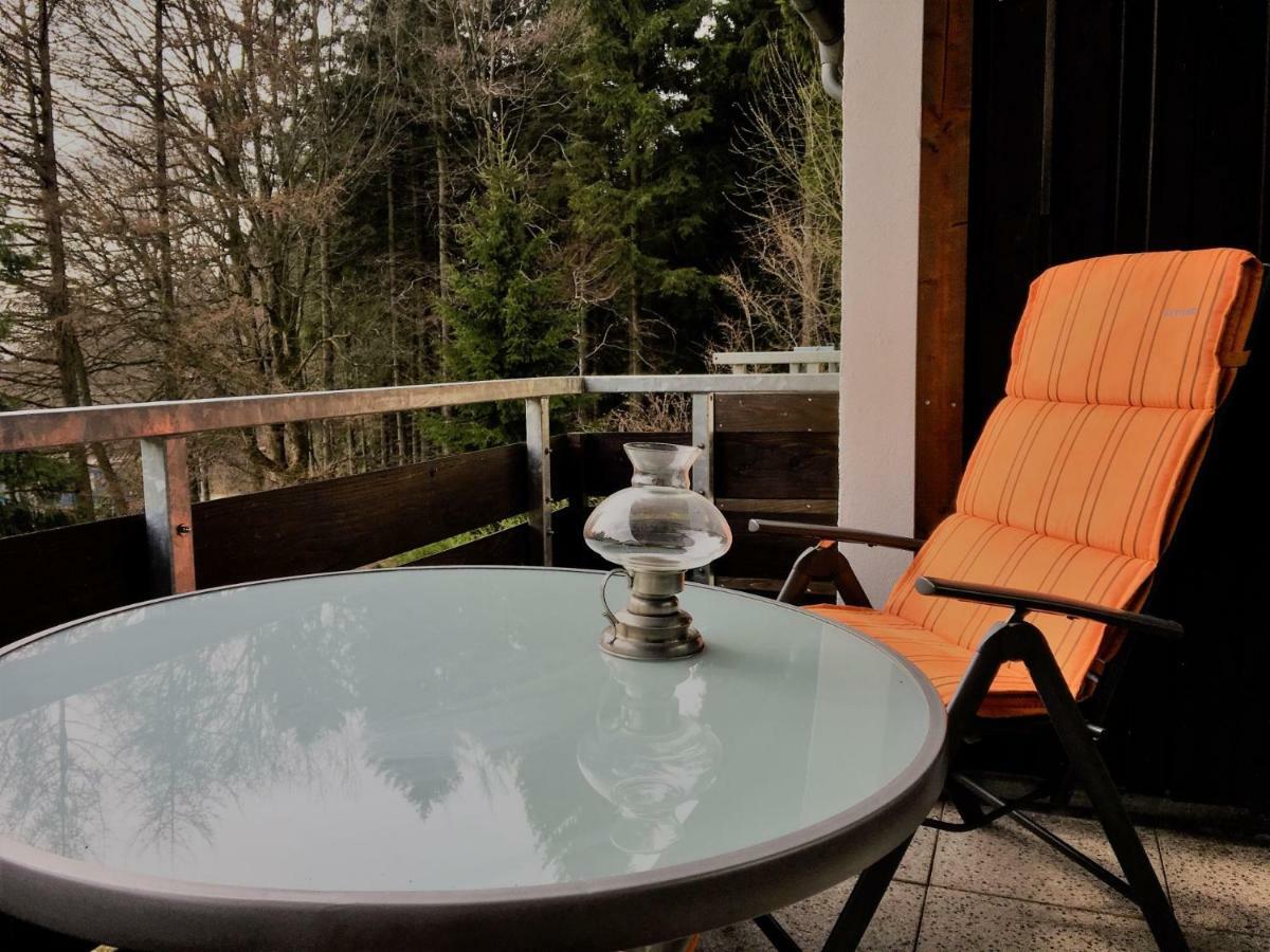 Luchsbutze Apartment Sankt Andreasberg Bagian luar foto