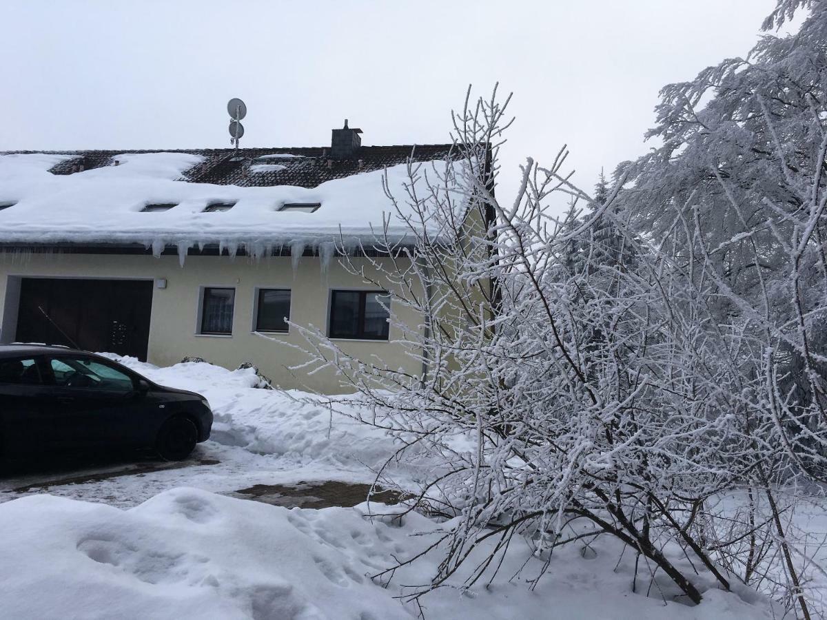 Luchsbutze Apartment Sankt Andreasberg Bagian luar foto