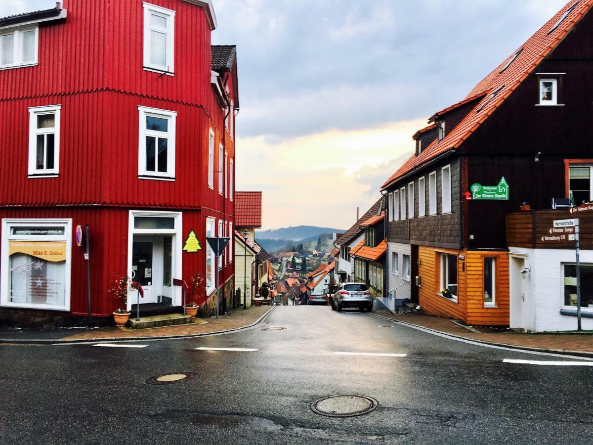Luchsbutze Apartment Sankt Andreasberg Bagian luar foto